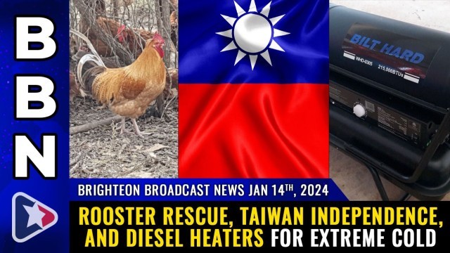 Rooster RESCUE, Taiwan independence, and diesel heaters for EXTREME COLD